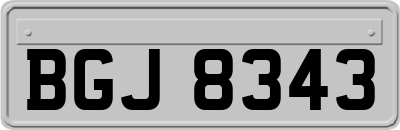 BGJ8343