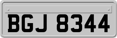 BGJ8344