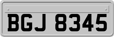 BGJ8345