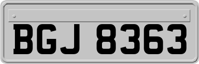 BGJ8363