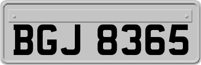 BGJ8365