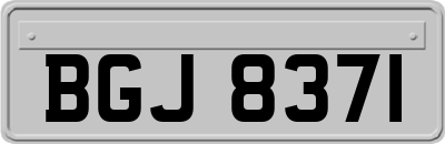 BGJ8371