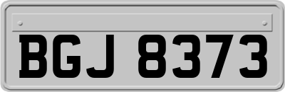 BGJ8373