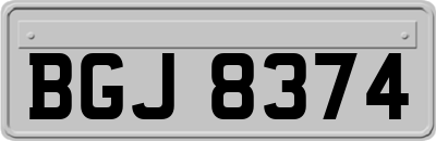 BGJ8374