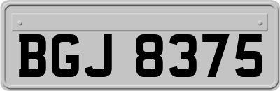 BGJ8375
