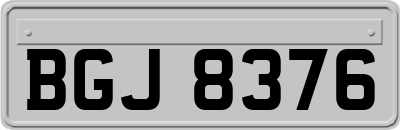 BGJ8376