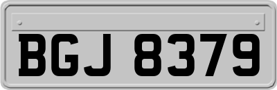 BGJ8379