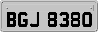 BGJ8380