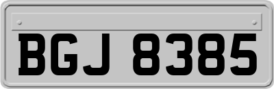 BGJ8385