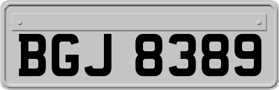 BGJ8389