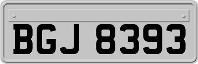 BGJ8393