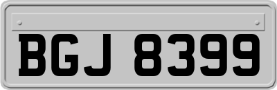 BGJ8399