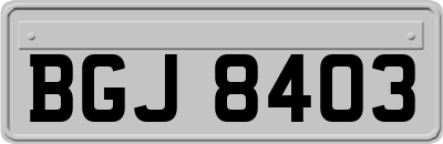 BGJ8403