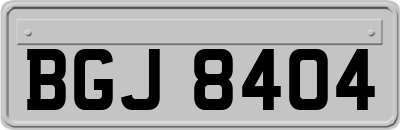 BGJ8404
