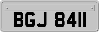 BGJ8411