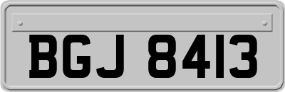 BGJ8413