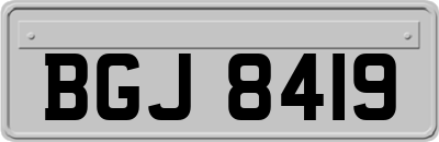 BGJ8419