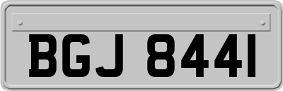BGJ8441
