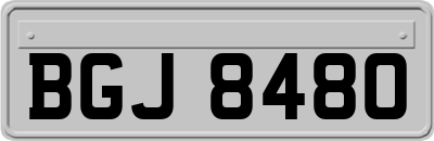 BGJ8480
