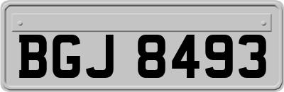 BGJ8493