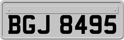 BGJ8495