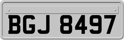 BGJ8497