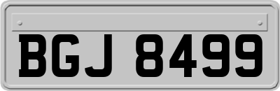BGJ8499