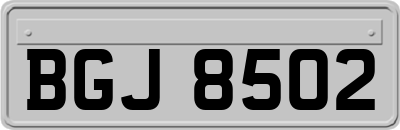 BGJ8502