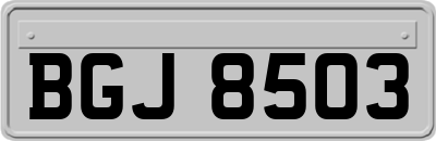 BGJ8503