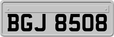 BGJ8508