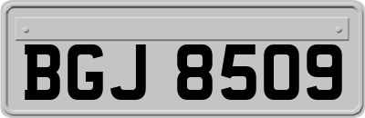 BGJ8509
