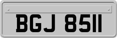 BGJ8511