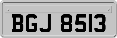 BGJ8513