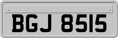 BGJ8515