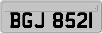 BGJ8521