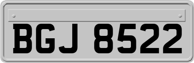 BGJ8522