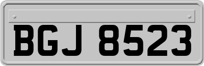 BGJ8523