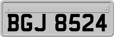 BGJ8524