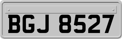 BGJ8527