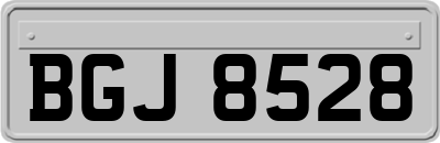 BGJ8528
