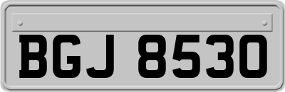 BGJ8530