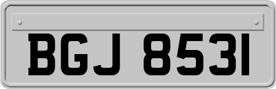 BGJ8531