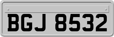 BGJ8532