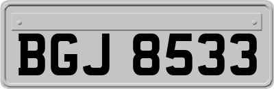 BGJ8533