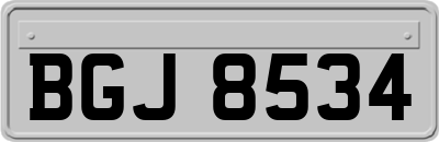 BGJ8534