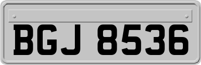BGJ8536