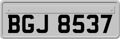 BGJ8537