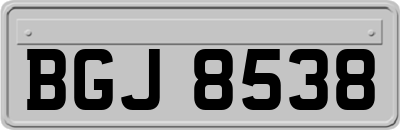 BGJ8538