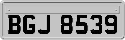 BGJ8539