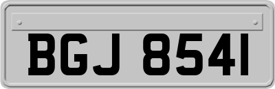 BGJ8541
